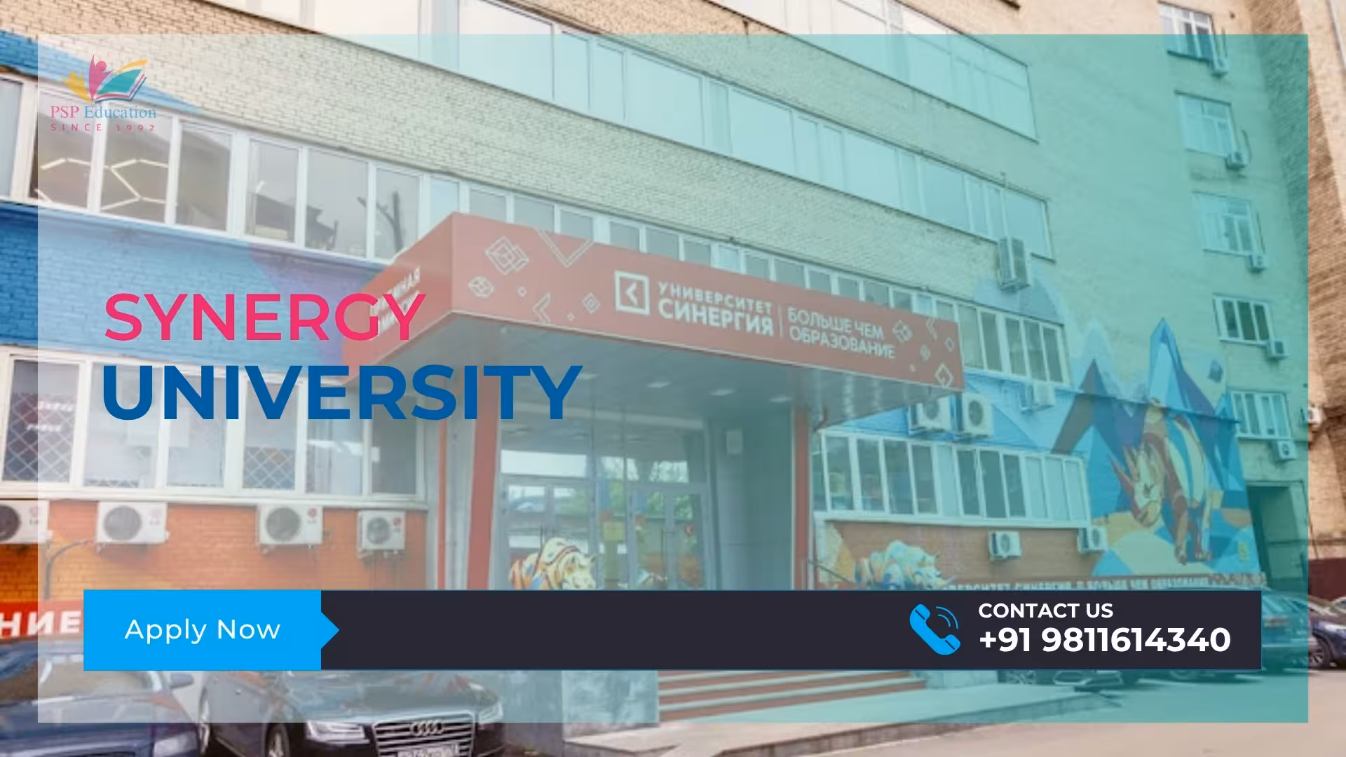 Synergy University